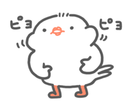 java sparrow tarako sticker #3693653