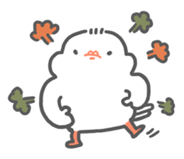 java sparrow tarako sticker #3693656