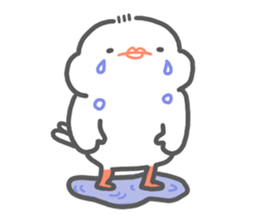 java sparrow tarako sticker #3693659
