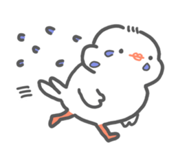 java sparrow tarako sticker #3693661