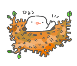 java sparrow tarako sticker #3693670