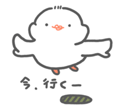 java sparrow tarako sticker #3693679