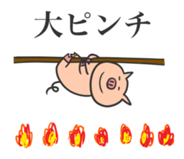 Pig Stickers sticker #3695628