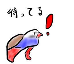 Okinawa native a bird sticker #3696048