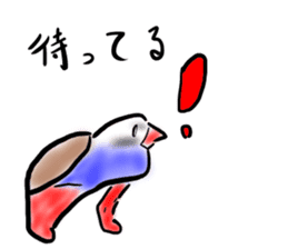 Okinawa native a bird sticker #3696048