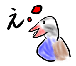 Okinawa native a bird sticker #3696050