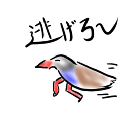 Okinawa native a bird sticker #3696053