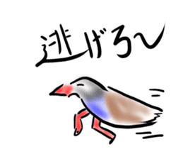 Okinawa native a bird sticker #3696053