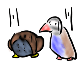 Okinawa native a bird sticker #3696054