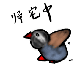 Okinawa native a bird sticker #3696066