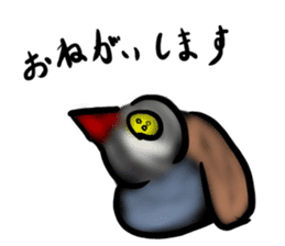 Okinawa native a bird sticker #3696074