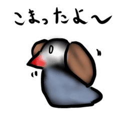 Okinawa native a bird sticker #3696077