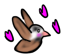 Okinawa native a bird sticker #3696079