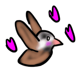 Okinawa native a bird sticker #3696079