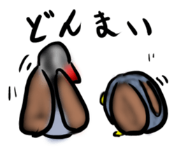 Okinawa native a bird sticker #3696080