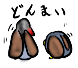 Okinawa native a bird sticker #3696080