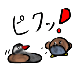 Okinawa native a bird sticker #3696084