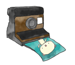 Beans bear "Poe" sticker #3701402