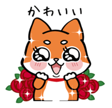 Shiba couple sticker #3703603