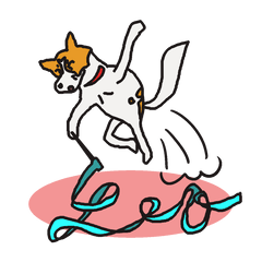 Capricious Leo's everyday