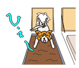 Capricious Leo's everyday sticker #3703714