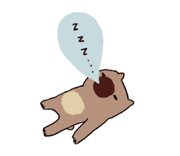 silly wombat sticker #3703738