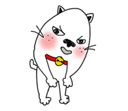 The funny cat "BUSAIKU KAWAII UZAI NEKO" sticker #3710355