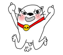 The funny cat "BUSAIKU KAWAII UZAI NEKO" sticker #3710376