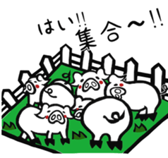 Mr.white pig sticker #3712387