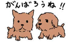 norfolk and norwich sticker #3712951