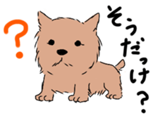 norfolk and norwich sticker #3712959