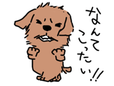 norfolk and norwich sticker #3712964