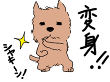 norfolk and norwich sticker #3712967