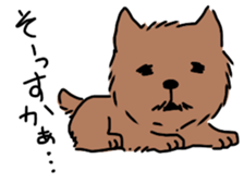 norfolk and norwich sticker #3712969