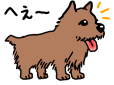 norfolk and norwich sticker #3712972