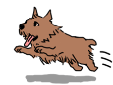 norfolk and norwich sticker #3712989