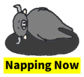 OX Water BUFFALO sticker #3714890