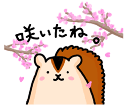 Funny Squirrel -Graduation Ver.- sticker #3716751