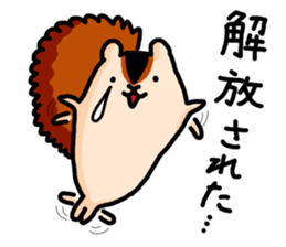 Funny Squirrel -Graduation Ver.- sticker #3716766