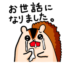 Funny Squirrel -Graduation Ver.- sticker #3716768