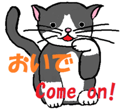 The twelve horary signs. sticker #3719079