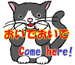 The twelve horary signs. sticker #3719080