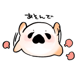 Cute seadog sticker #3719851