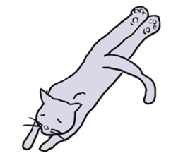 Cat World sticker #3720403