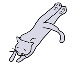 Cat World sticker #3720403