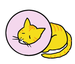 Cat World sticker #3720426