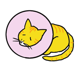 Cat World sticker #3720426