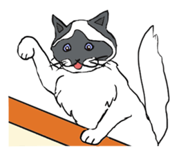 Cat World sticker #3720430