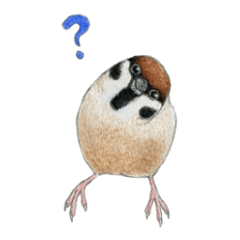 NORISAN BIRDS STICKER