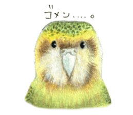 NORISAN BIRDS STICKER sticker #3721312